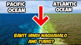 Bakit Hindi Naghahalo Ang Tubig Sa Pacific At Atlantic Ocean [upl. by Niattirb]