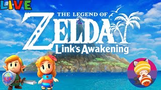 Legend of Zelda  Links Awakening Switch Part 6 [upl. by Aenneea734]