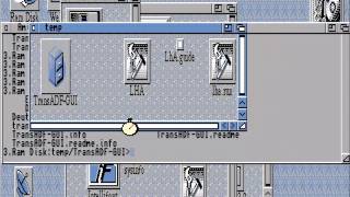 WinUAE Installation Guide  312  ADFs To and From a Native Amiga  by LemonAmigacom [upl. by Witte]