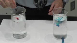 Convection and Diffusion Demo Hot and Cold Water [upl. by Batchelor]