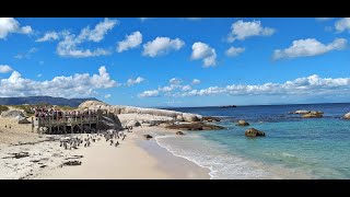 Muizenberg Boulders Beach Chapmans Peak [upl. by Eiznekcam]