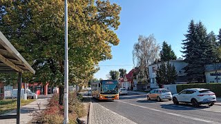 TP Bus Tarnowo Podgórne Linia 811 kierunek OgrodyopisMAN NL273 Lions City [upl. by Reitman453]