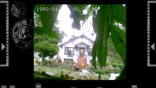 Cooper Video Cat Cam 001 [upl. by Leahcimnoj]