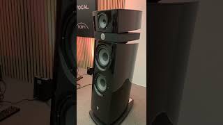 Focal Maestro Utopia Evo  Naim systems  High end Hifi audio setup [upl. by Ahsikad]