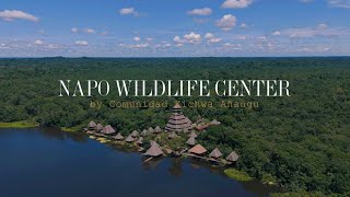 Napo Wildlife Center  Ecuadorian Amazon Rainforest [upl. by Nnahgem]