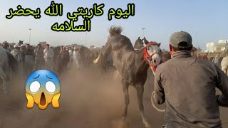 سوق الثلاثاء الخميسات اليوم كارثي ياربي السلامه دخلوا الخيول صعاب [upl. by Anital]