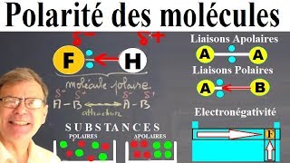 Polarité des molécules  liaisons et charge partielle [upl. by Ttej]