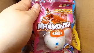 🍬🦣 Des Mammouth Ball et des Mammouth Pop 🦣🍬 [upl. by Nnahgaem]