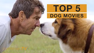 Top 13 Dog Movies [upl. by Drolyag]