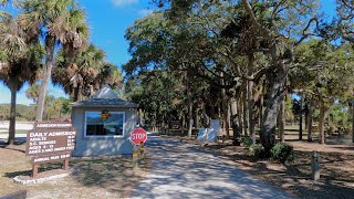 Scenic Drive to Edisto Beach State Park via Rt 174 from 17  South Carolina  Lowcountry [upl. by Esdnyl]