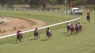 Nanango 16122023 Race 2 [upl. by Esinal]