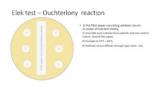 Ouchterlony reaction [upl. by Audrey]