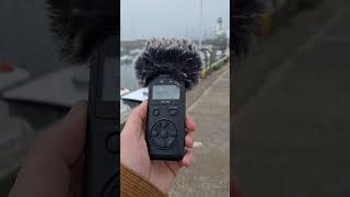 Field Recording Foghorns to use in a track fieldrecording sounddesign ambientmusic [upl. by Julis470]