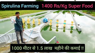 Spirulina Farming  1400 Rs Kg Super Food  1000 मीटर से 15 लाख महीने की कमाई  Hello Kisaan [upl. by Airetnahs378]