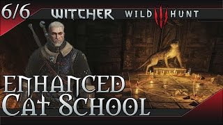 The WItcher 3 Wild Hunt Enhanced Cat Feline School Gear Set [upl. by Ardene]