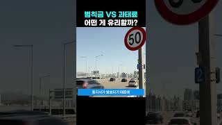 모르면 손해 범칙금 VS 과태료어떤 게 유리할까 [upl. by Acina624]