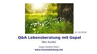 QampA Lebensberatung mit Gopal 01102019 [upl. by Sair]