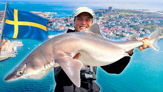 WE CATCH 100 SHARKS IN SWEDEN 🦈 🇸🇪 [upl. by Cirded]