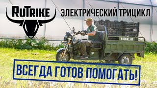 Rutrike  электрический трицикл заряжен на перевозки [upl. by Francine710]