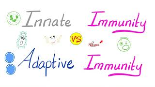 Innate Immunity vs Adaptive Immunity  Complement System  Physiology Lectures Series [upl. by Natanoy]