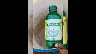 Phosphate solubilizing bacteria iplfert phospahte organicfarming tamilagriculture [upl. by Halsy116]