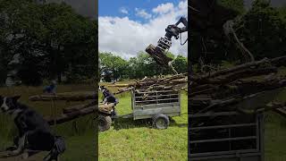 Clearing the old branches from the horses winter turnout field so it can be topped digger farming [upl. by Arvy]