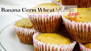 Banana Wheat Germ Muffins 🍌🐶🐾 Homemade Dog Muffins  WHISKOPETS KITCHEN 😘 [upl. by Ataner]