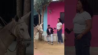 El ganadero 🤭🤣🤣 parati humor viralvideos [upl. by Adnat]