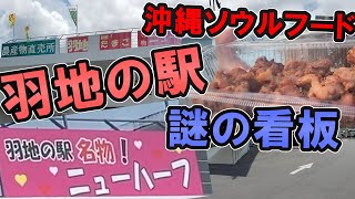 【沖縄グルメ】北部に行くなら寄ってみて！沖縄北部のソウルフードと謎の看板を調査してきた【羽地の駅】沖縄観光ユーチューバー 道の駅グルメ 旅行 観光 [upl. by Ahtnammas634]