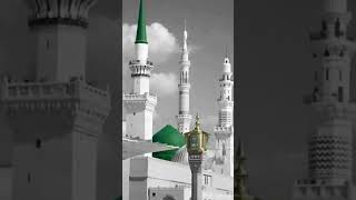 Lamyati nazeero Kafi nazarin beautiful naat ytstudieo ytshortsvideo [upl. by Gnil]