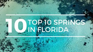 TOP 10 SPRINGS in FLORIDA  Best Florida Springs  Florida Springs  Ginnie Springs [upl. by Airetas]