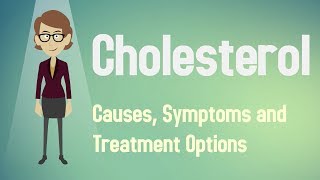 Cholesterol  Causes Symptoms and Treatment Options [upl. by Netfa]