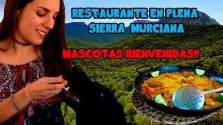 RESTAURANTE NUEVO PARAJE MORIANA  ¡PETFRIENDLY [upl. by Raffaello]