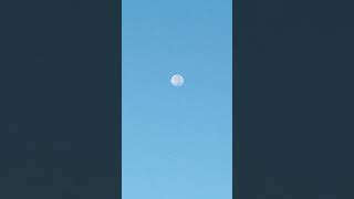 Video of the moon in the daytime [upl. by Fletcher275]