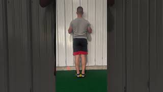 Posterior Tibialis Heel Raise [upl. by Mapel917]