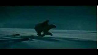 His Dark Materials The Golden Compass  TV Spot 4 [upl. by Yerd]