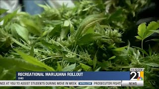 Ohio recreational marijuana rollout continues [upl. by Casar]