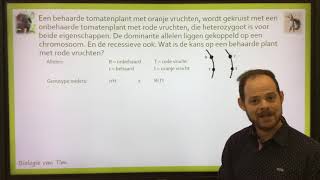 Biologie van Tim  Gekoppelde overerving [upl. by Feigin714]