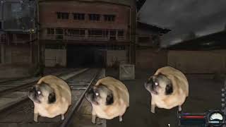 Pugs dance to the radio of bandits from stalker 10 hour [upl. by Aufa]