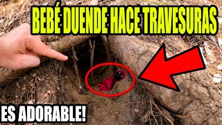 DUENDES REALES hacen TRAVESURAS en CASA 75  Laguna Negra [upl. by Maddis134]