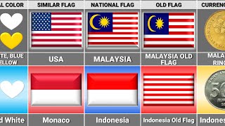 Malaysia vs Indonesia  Country Comparison [upl. by Neelya]