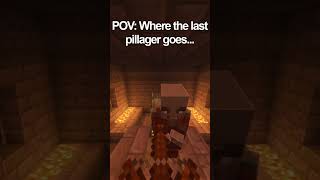 POV You cant find the last pillager shorts minecraft memes Original by TheEthanChannel [upl. by Fidela]