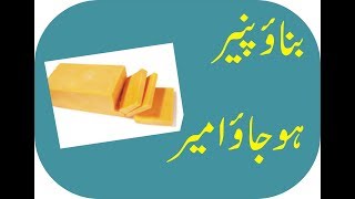 How To Make Cheese پنیر کیسے بنائیں [upl. by Gwenette128]