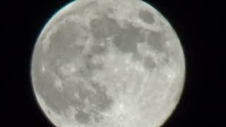 Full moon Sion Valais Switzerland 15112024 [upl. by Bayless147]