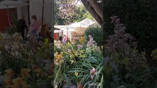 69th Kifisia Greece Flower Show 28042023 Glimpse [upl. by Okajima]