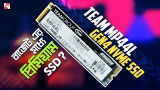 Team MP44L Gen4 NVMe SSD Review [upl. by Fedirko]