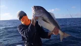 Croatia fishing  The snapper trinity [upl. by Grail523]