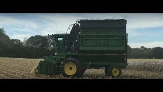 John Deere 9960 amp 9965 Picking CottonStilesboro Georgia 10212017 [upl. by Hendrik512]