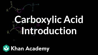 Carboxylic acid introduction  Carboxylic acids and derivatives  Organic chemistry  Khan Academy [upl. by Zzabahs]