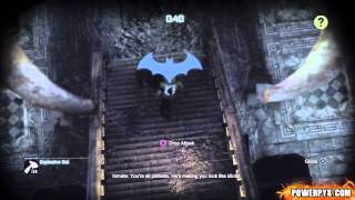 Batman Arkham City  Predator Challenge 9 Natural Selection EXTREME  15578 [upl. by Monson]